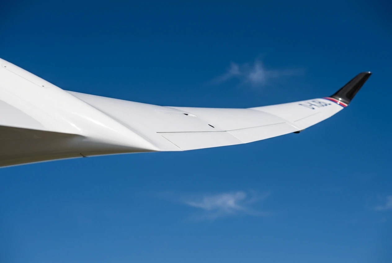 Tragfläche eines Segelflugzeugs